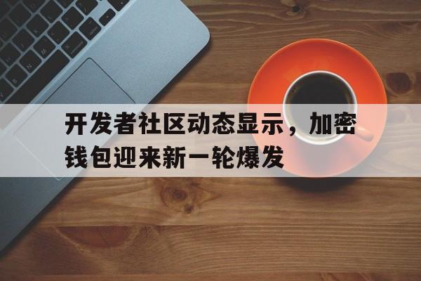 包含开发者社区动态显示，加密钱包迎来新一轮爆发的词条